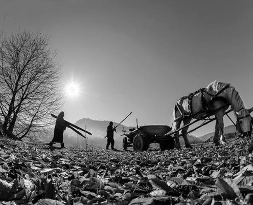 Bucovina Photo Tour - Bukovina Fotoğraf Turu, Foto Tur, Foto Gezileri