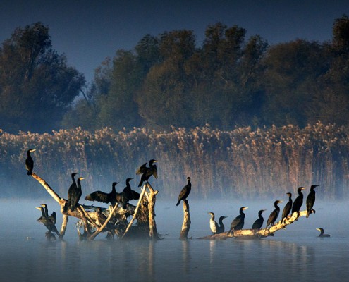 Danube Delta Yurtdışı Fotoğraf Turu