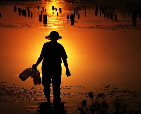 Danube Delta Yurtdışı Fotoğraf Turu